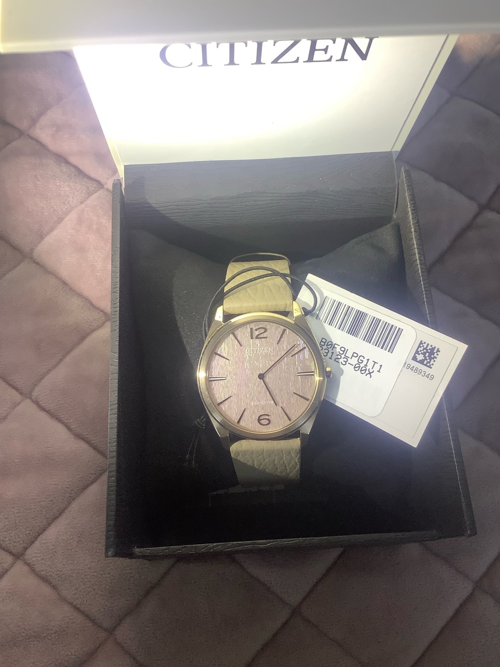 Citizen Suratto Eco Drive Watch
